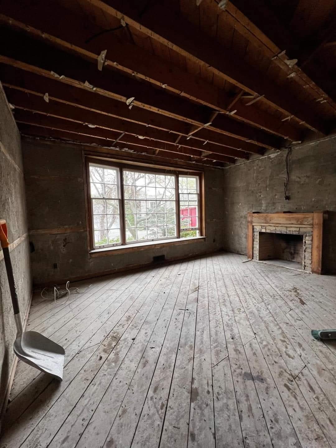 Plaster Removal & Subfloor Prep